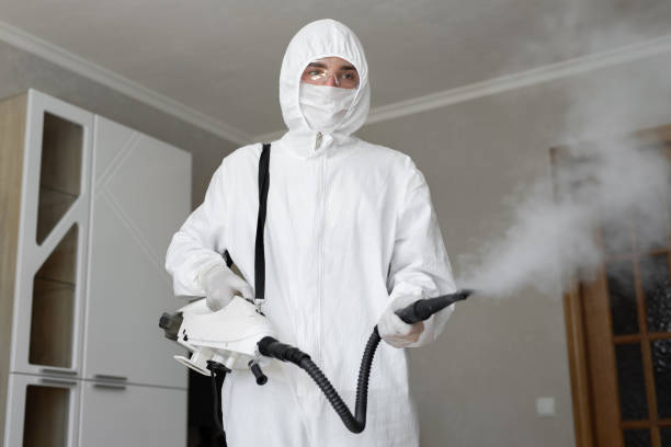 Best Mold Remediation for Healthcare Facilities in USA